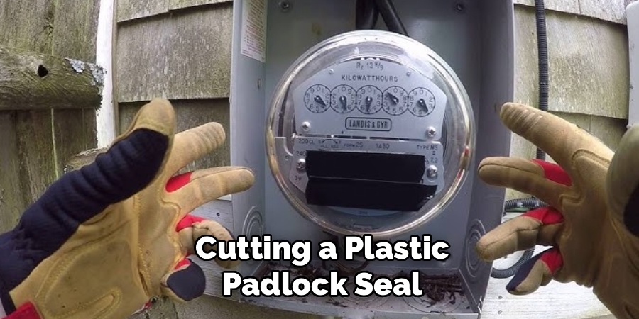 Cutting a Plastic Padlock Seal